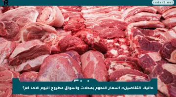 «إليك التفاصيل» أسعار اللحوم بمحلات وأسواق مطروح اليوم الأحد كم؟